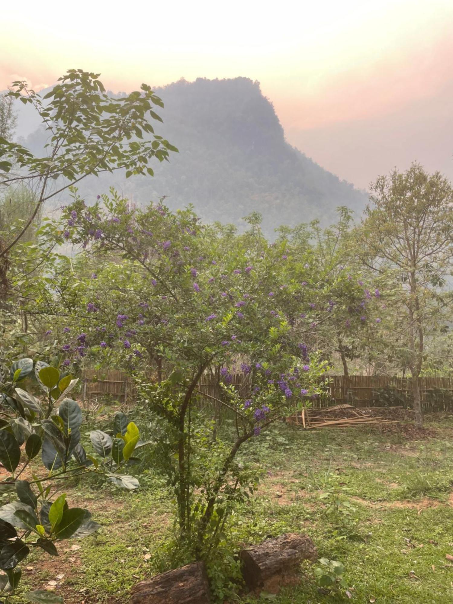 Chiang Dao Roundhouses Exterior foto
