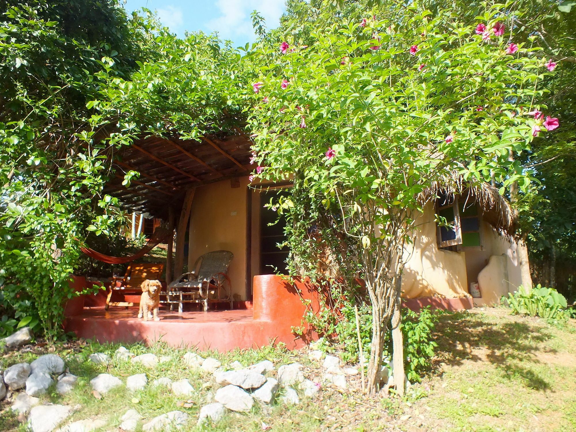 Chiang Dao Roundhouses Exterior foto